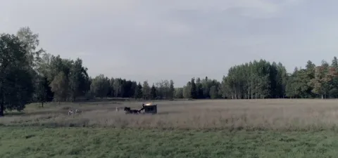 Воскресенский — кадр 3