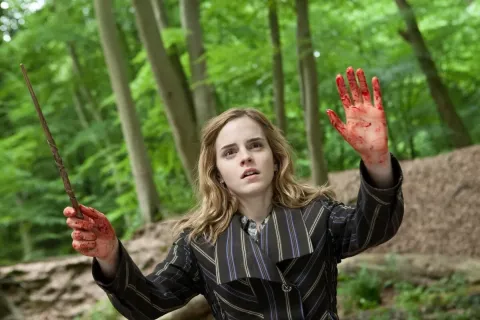Гарри Поттер и Дары Смерти: Часть 1 — кадр 10