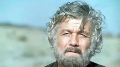 Цыган — кадр 2