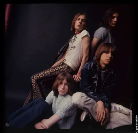 Gimme Danger. История Игги и The Stooges — кадр 11
