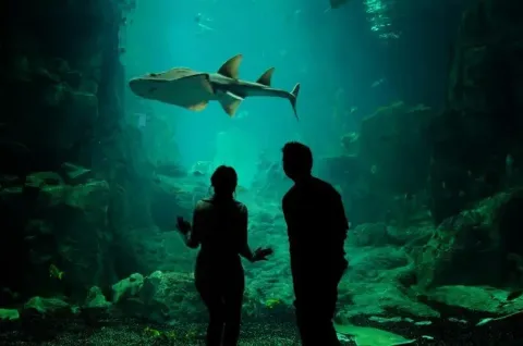 Ты, мой дом — кадр 9