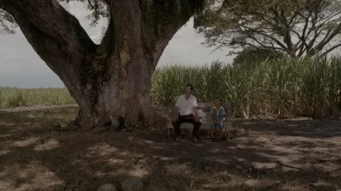 Земля и тень — кадр 3