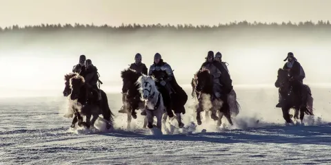 Биркебейнеры — кадр 8