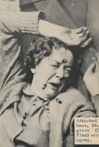 Катрин Финн