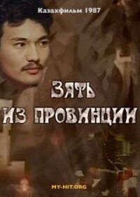 Зять из провинции (1987)