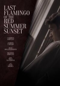Последний фламинго красного летнего заката (2024)
