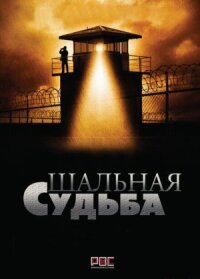 Шальная судьба (2021)